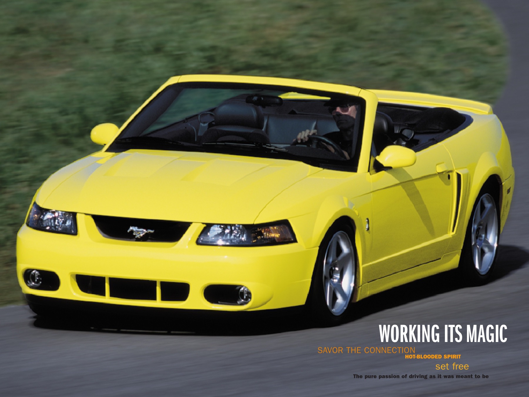 2003 Ford Mustang Cobra Brochure Page 14